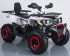 Квадроцикл Motoland WILD TRACK 200cc