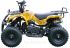 Квадроцикл детский MOTAX ATV X-16 (Механический стартер)